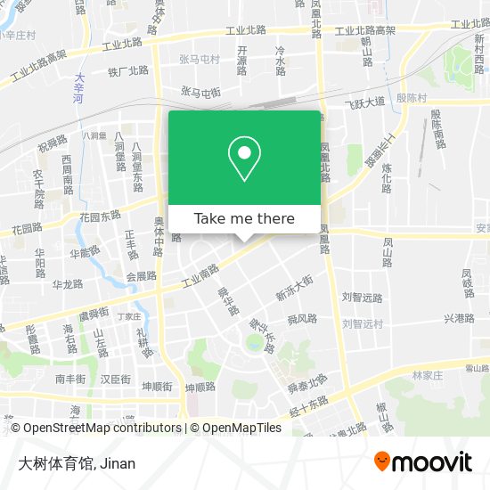 大树体育馆 map
