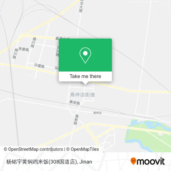 杨铭宇黄焖鸡米饭(308国道店) map