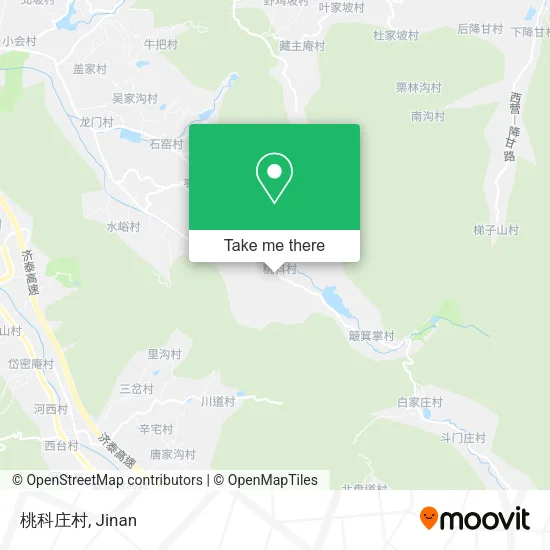 桃科庄村 map