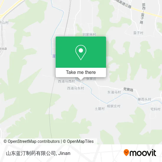 山东蓝汀制药有限公司 map