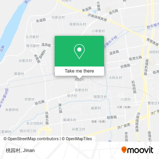 桃园村 map