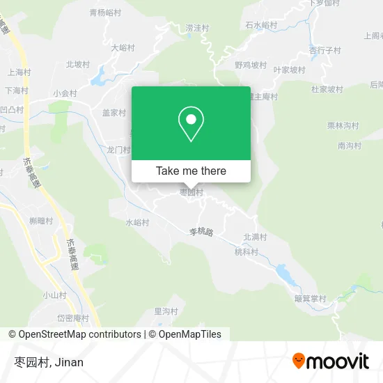 枣园村 map