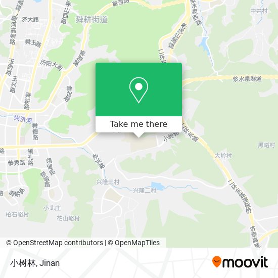 小树林 map