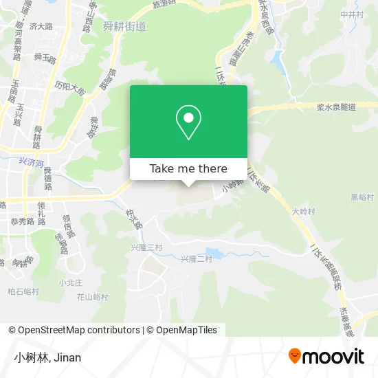 小树林 map