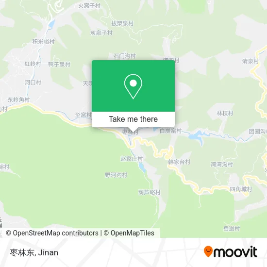 枣林东 map