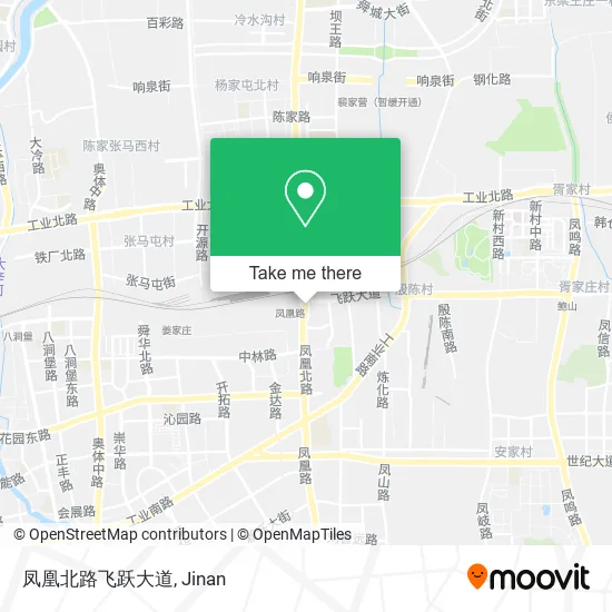 凤凰北路飞跃大道 map