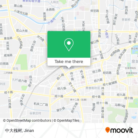 中大槐树 map