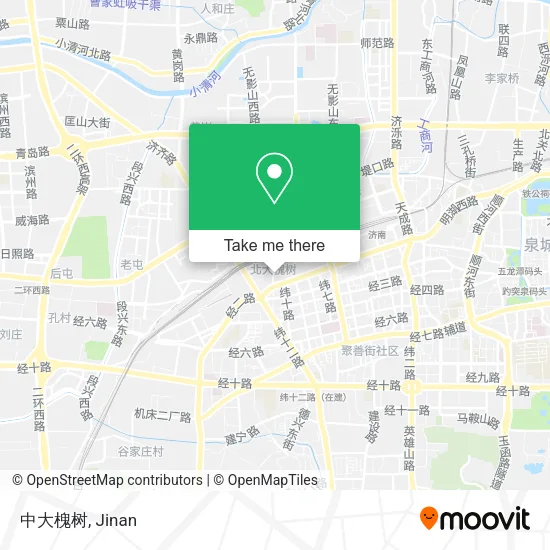 中大槐树 map