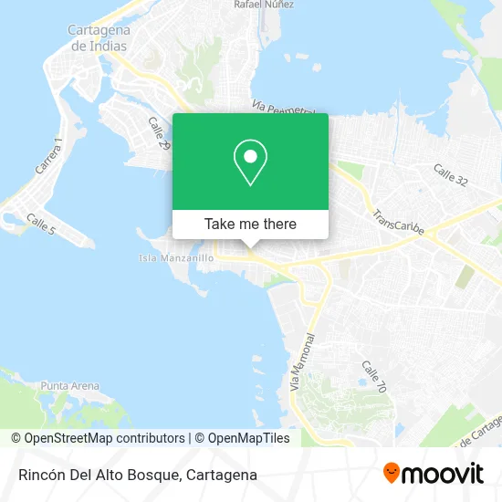 Rincón Del Alto Bosque map