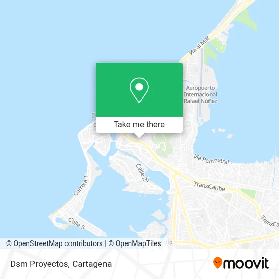 Dsm Proyectos map