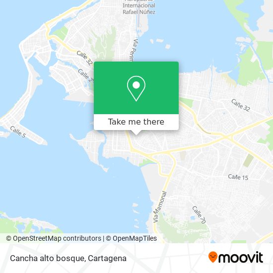 Mapa de Cancha alto bosque