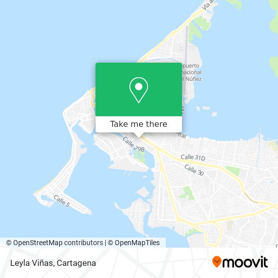 Mapa de Leyla Viñas