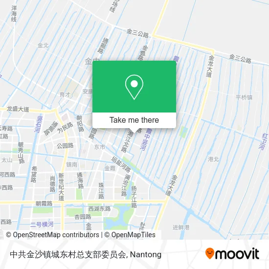 中共金沙镇城东村总支部委员会 map