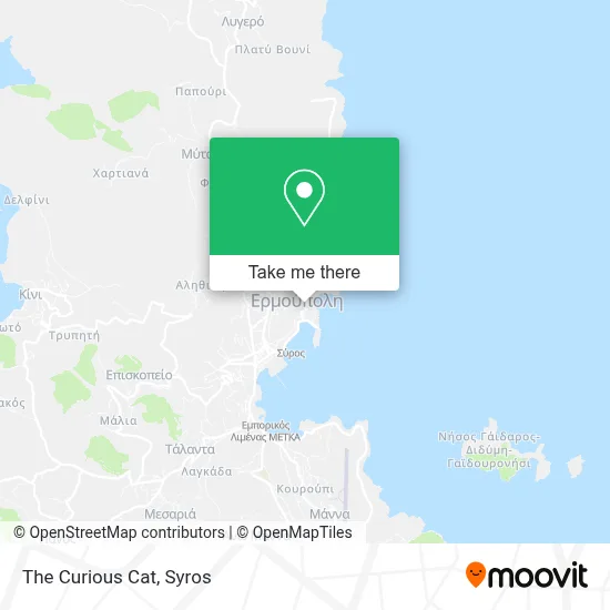 The Curious Cat map
