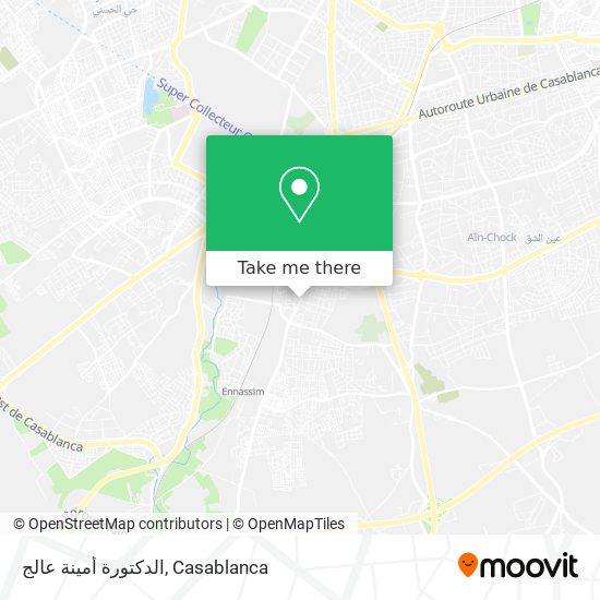 الدكتورة أمينة عالج map