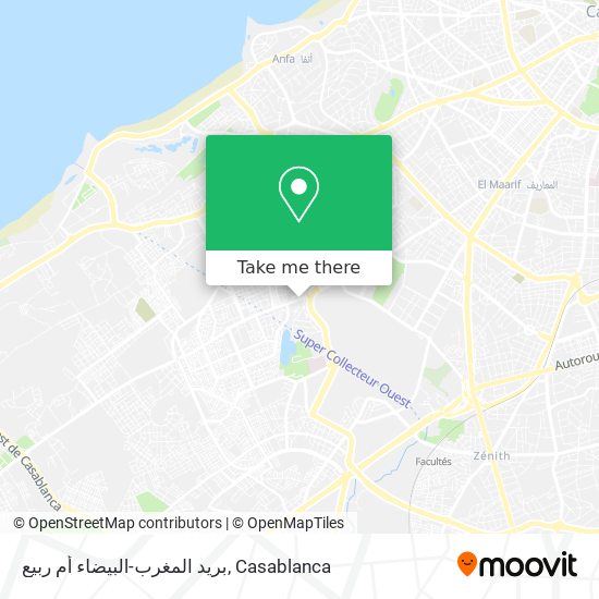 بريد المغرب-البيضاء أم ربيع map