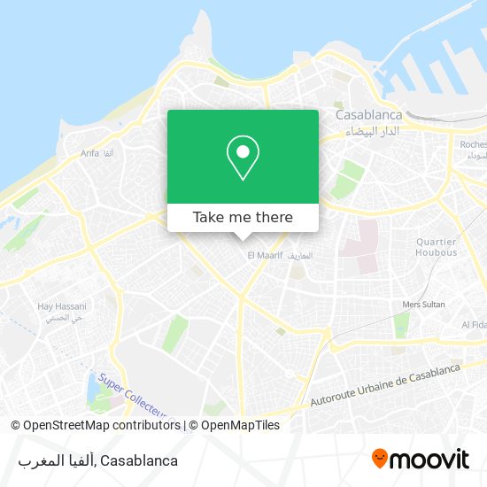 ألفيا المغرب map