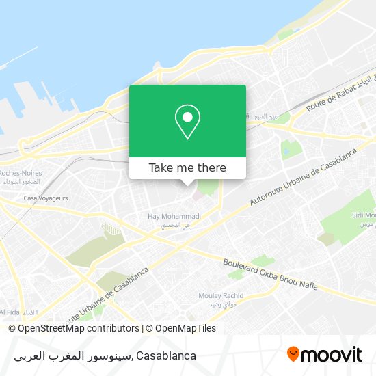 سينوسور المغرب العربي map