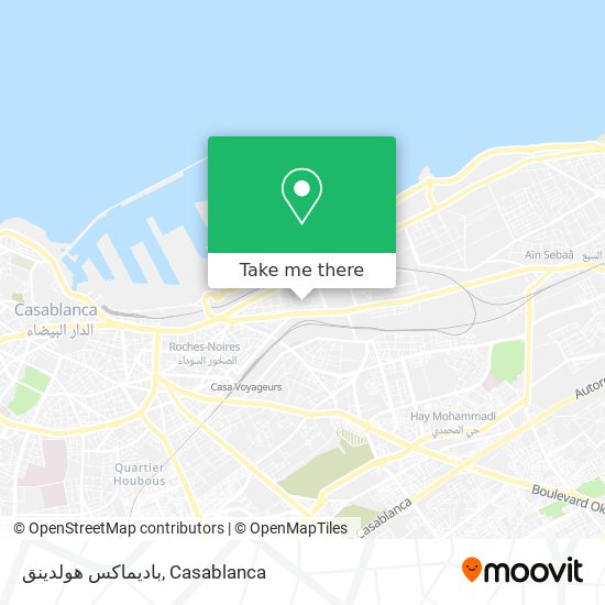 باديماكس هولدينق map