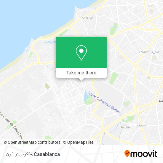 طاكوس دو ليون map