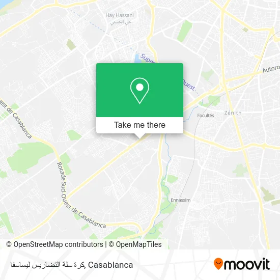 كرة سلة التضاريس ليساسفا map