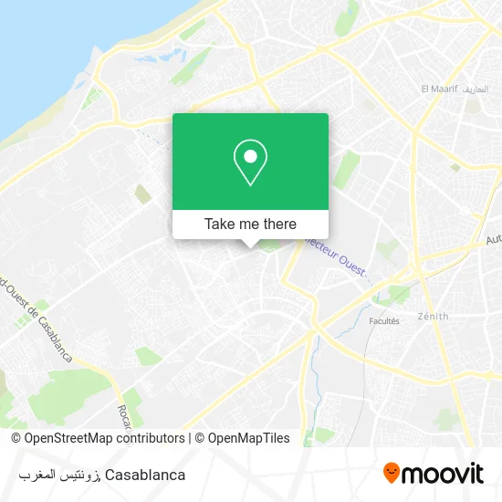 زونتيس المغرب plan