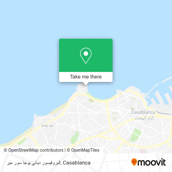البروفيسور دياني يوجا سور مير map