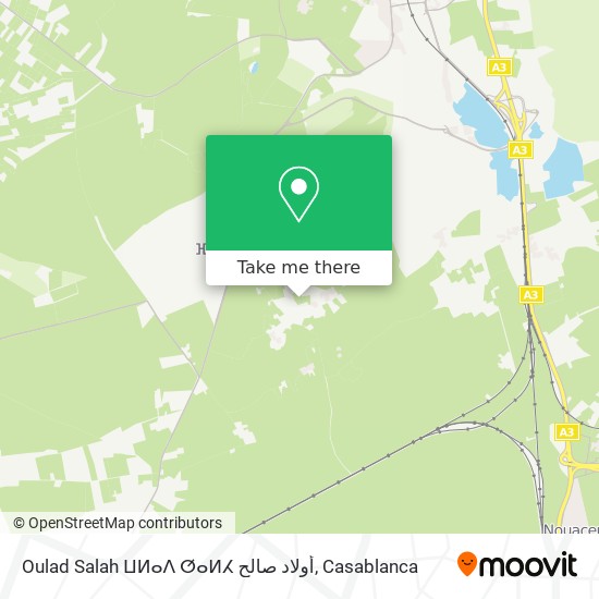 Oulad Salah ⵡⵍⴰⴷ ⵚⴰⵍⵃ أولاد صالح map