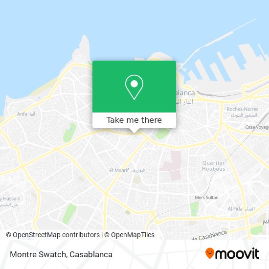 Montre Swatch map