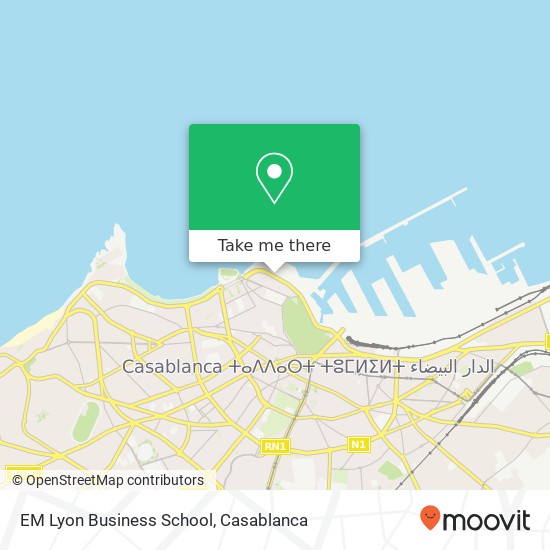 EM Lyon Business School map