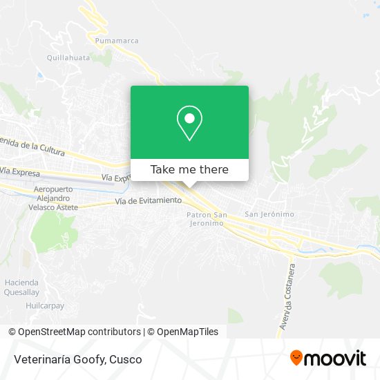 Veterinaría Goofy map