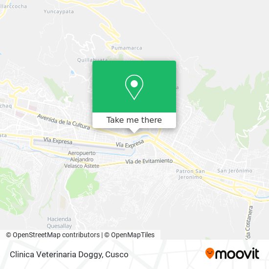 Clinica Veterinaria Doggy map