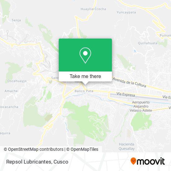 Repsol Lubricantes map