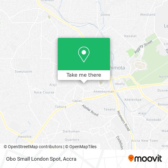 Obo Small London Spot map