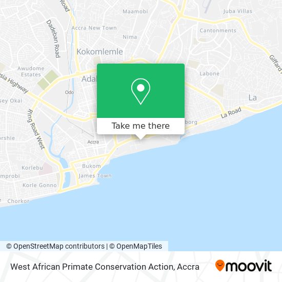 West African Primate Conservation Action map