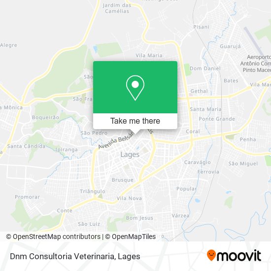 Dnm Consultoria Veterinaria map