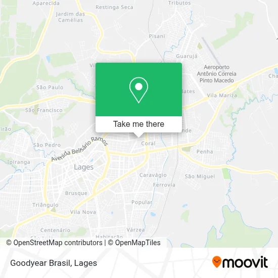Goodyear Brasil map