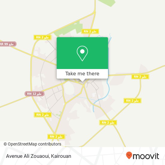 Avenue Ali Zouaoui map
