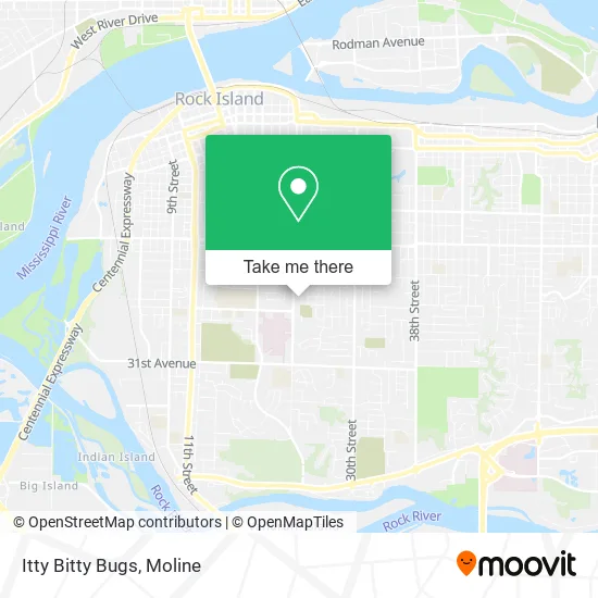 Itty Bitty Bugs map