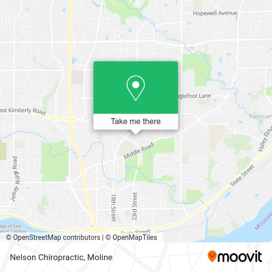 Nelson Chiropractic map