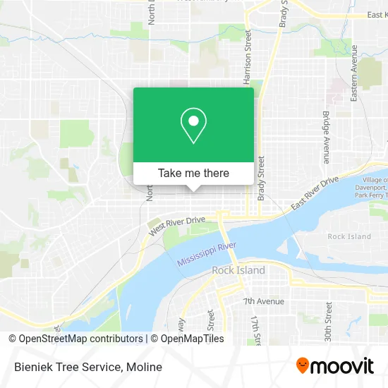 Bieniek Tree Service map