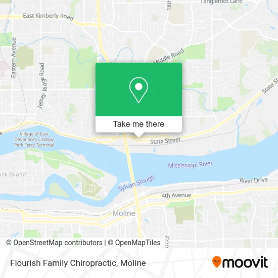 Flourish Family Chiropractic map