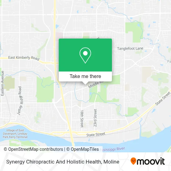 Synergy Chiropractic And Holistic Health map