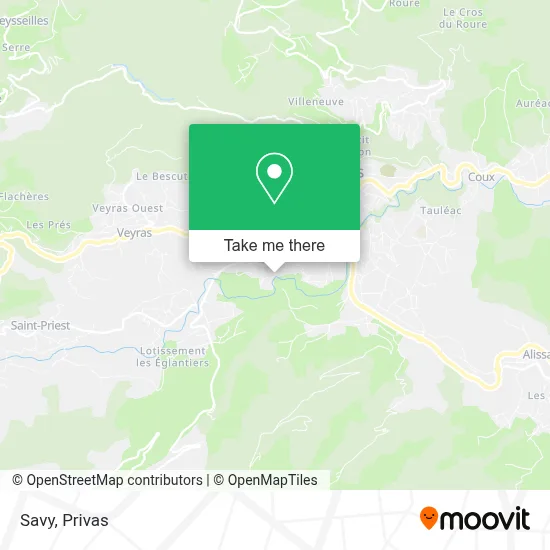 Savy map