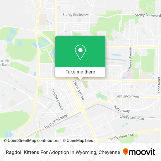 Ragdoll Kittens For Adoption In Wyoming map