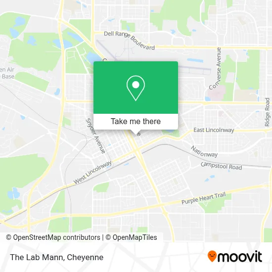 The Lab Mann map