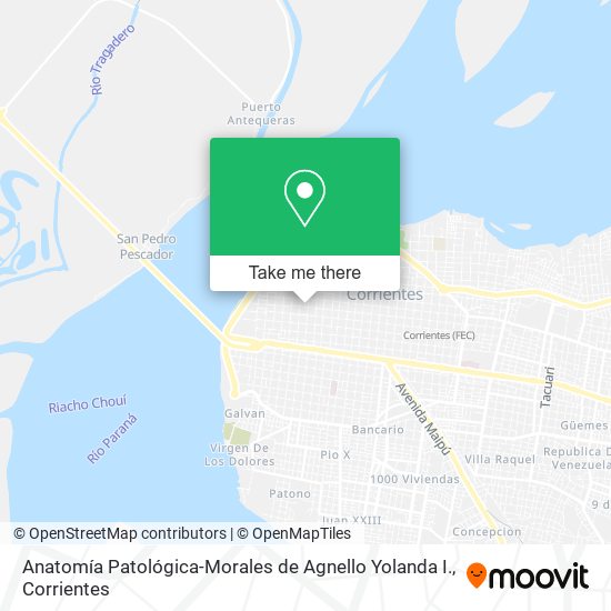 Mapa de Anatomía Patológica-Morales de Agnello Yolanda I.