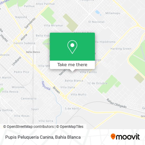 Pupis Peluquería Canina map