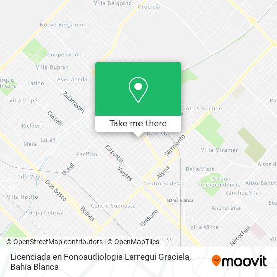 Licenciada en Fonoaudiologia Larregui Graciela map