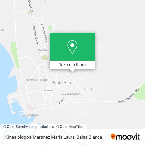 Mapa de Kinesiologos-Martínez Maria Laura